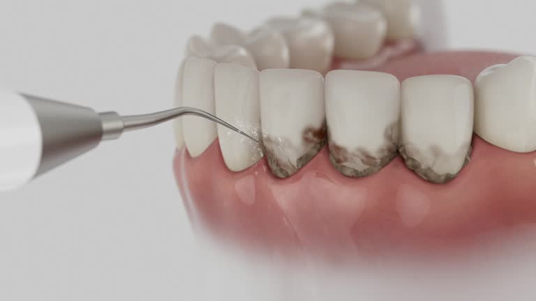 Reliable Dental contractor in Strodes Mills, PA by Dentist Open Now